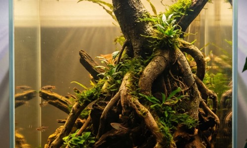肝癌放疗副作用会持续多久-效果好还是不好专区_肝癌放疗副作用专区_肝癌 放疗 副作用网